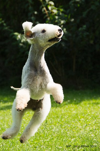 2014-06-06 Cherry & Quincy-8807.jpg